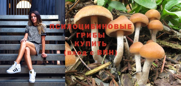 амф Абдулино