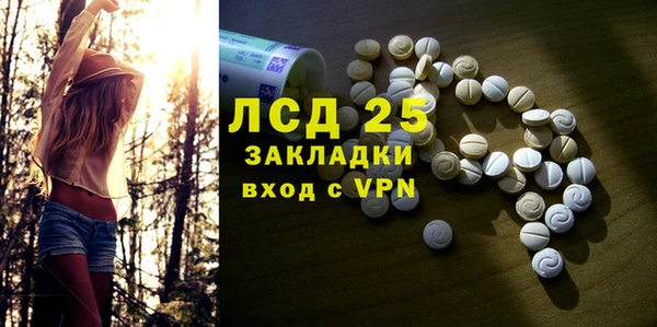 ПСИЛОЦИБИНОВЫЕ ГРИБЫ Лагань