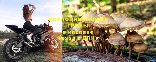 амф Абдулино