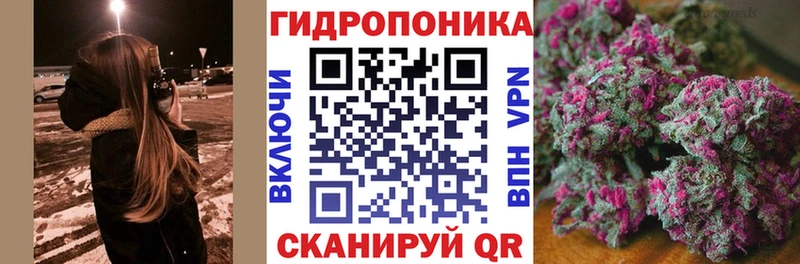 Канабис OG Kush  Саратов 